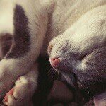 jeanette larissa eckert - @sinalou10 - Instagram