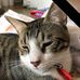 Jeannette Farris - Facebook