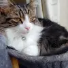 Jeanette Floyd - @jeanette.floyd7 - TikTok