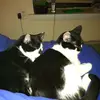 jeanettegamble545 - @jeanettegamble545 - TikTok