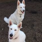 Jeanette Greene - @jeanette.greene46 - Instagram