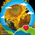 Jeanette Ham - Facebook
