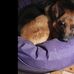 Jeanette Herrmann - Facebook