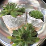Jeanette Herrmann - @jeanetteh.errmann - Instagram