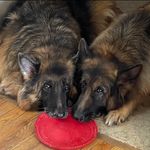 Jeanette Hicks - @jnet.lynn.hiks - Instagram
