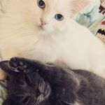 jeanette hicks - @jeanettemarie72 - Instagram