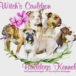 Jeanette Hoffmann - @witchscauldronbulldogskennel - Instagram