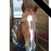 Jeanette Hoffmann - Facebook