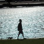 Jeanette Jacobs - @jeanettejacobs1957 - Instagram