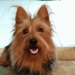 Jeanette Jacques - Facebook