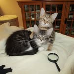 Jeannette Kessler - @jeannette.kessler.73 - Instagram