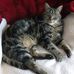 Jeanette Key - Facebook