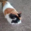 Jeanette Lightner - @jeanette.lightner - TikTok