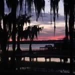 Jeanette Mackenzie - @jgpdam - Instagram