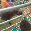Jeanette Mackey - @jeanette.mackey3 - TikTok