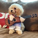 Jeanette Maher - @jeanettemaher3363 - Instagram