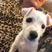 Jeanette Mann - Facebook