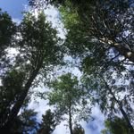 Jeanette Manninen - @manninenjeanette - Instagram