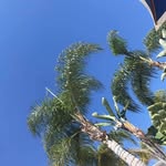 Jeanette Marks - @jeanettemarks30 - Instagram