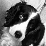 jeanette marsh - @nettysketti.56 - Instagram