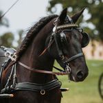 Jeanette Marsh - @jeanette.marsh.77 - Instagram