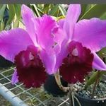 Jeanette Marshman - @marshmanjeanette75 - Instagram