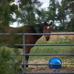 Jeanette Maynard - Facebook