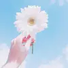 CaseGP Store - @jeanettemcdaniel55 - TikTok