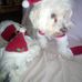 Jeannette McGhee - Facebook