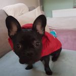Jeanette Wefelmeier - @jeanettewefelmeier - Instagram