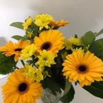 Jeanette Neely - @43j12.79 - Instagram