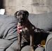 Jeanette Nutt - Facebook