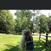 Jeanette Pace - Facebook