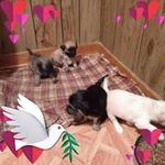 Jeanette Patrick - @jeanettepatrick2 - Instagram