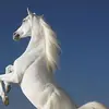 Jeanette Patton - @jeanette.patton - TikTok