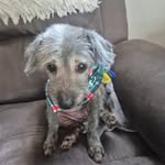 Jeanette Phipps - @jeanettephipps1234 - Instagram