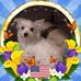 Jeanette Ramey Webb - Facebook
