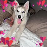 Jeanette Rhoads - @jeanette.rhoads.56 - Instagram