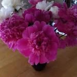 Jeanette Roach - @jhouska49 - Instagram