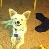 Jeanette Rouse - @jeanette.rouse - TikTok