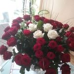Jeanette Schaefer - @schaeferjeanette - Instagram