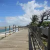 Jeannette Simons - @jeannettesimons - TikTok