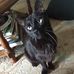 Jeannette Sperling - Facebook
