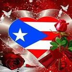 Jeanette Springer - @jspringer1963 - Instagram