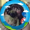 Jeanette Steele - @jeanette.steele - TikTok