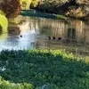Jeanette Stephens - @jeanette.stephens4 - TikTok