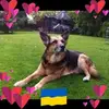 Jeanette Stephenson - @jeanette.stephens27 - TikTok