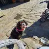 jeanettestephens78 - @jeanettestephens78 - TikTok