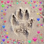 Jeanette Sutton - @jeanettesutton4253 - Instagram