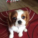 Jeanette Waldron - @jeanettewaldron - Instagram